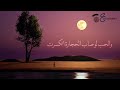الدجى