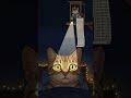 Почему невозможно уснуть, когда очень хочешь спать? // Why Trying to Sleep Keeps You Awake