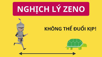Nghịch Lý ZENO: Cuộc Đua Giữa A-sin và Rùa