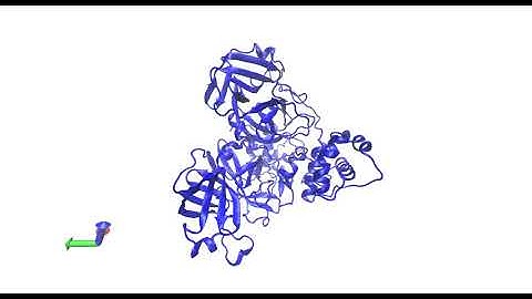 Trajectory movie of COVID-19 related SARS-CoV-2 dimeric main protease