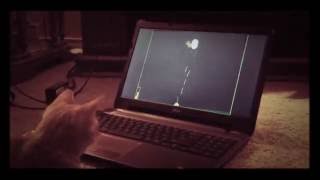 Lucy Plays Void Invaders