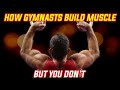 How Gymnasts BUILD MUSCLE But You Don't... (You're missing out!)