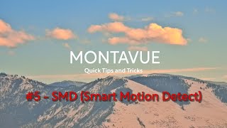 Montavue Quick Tips & Tricks - SMD (Smart Motion Detect)