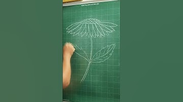 Vẽ hoa đồng nội #art #drawing #vetranh