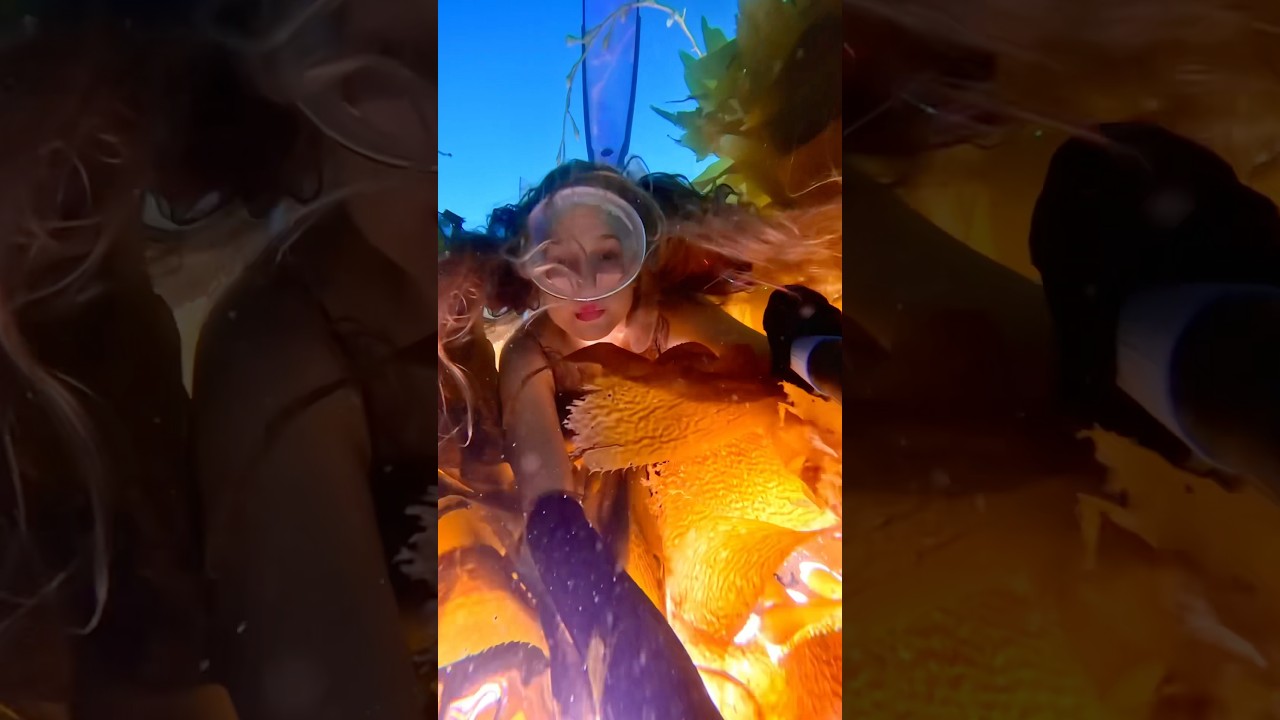 I’m right where u left me.. in the tower of kelp 🧡 