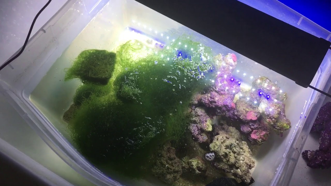 mighty blog Ep.7 - IM25 Re-scaped and Re-done!!!