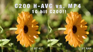 Canon C200 XF-AVC vs. MP4 + ultimate 10 bit workflow! Is it the perfect camera now?