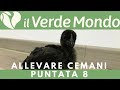 Allevare Cemani | Puntata 8 | L&#39;Allevatrice