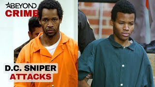 The D.C. Sniper Attacks Of 2002 | Murder Made me Famous | Beyond Crime