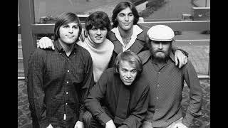 The Beach Boys - Never Learn Not to Love (2024 edit)