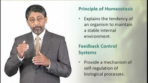 Central Themes in Physiology | Animal Physiology and Behavior (Theory) | ZOO502T_Topic002