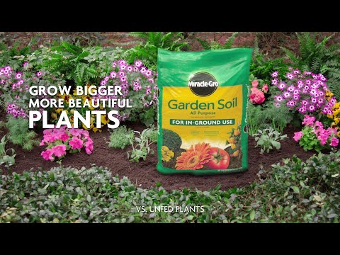 How To Use Miracle Gro All Purpose Garden Soil For In Ground Gardening Youtube