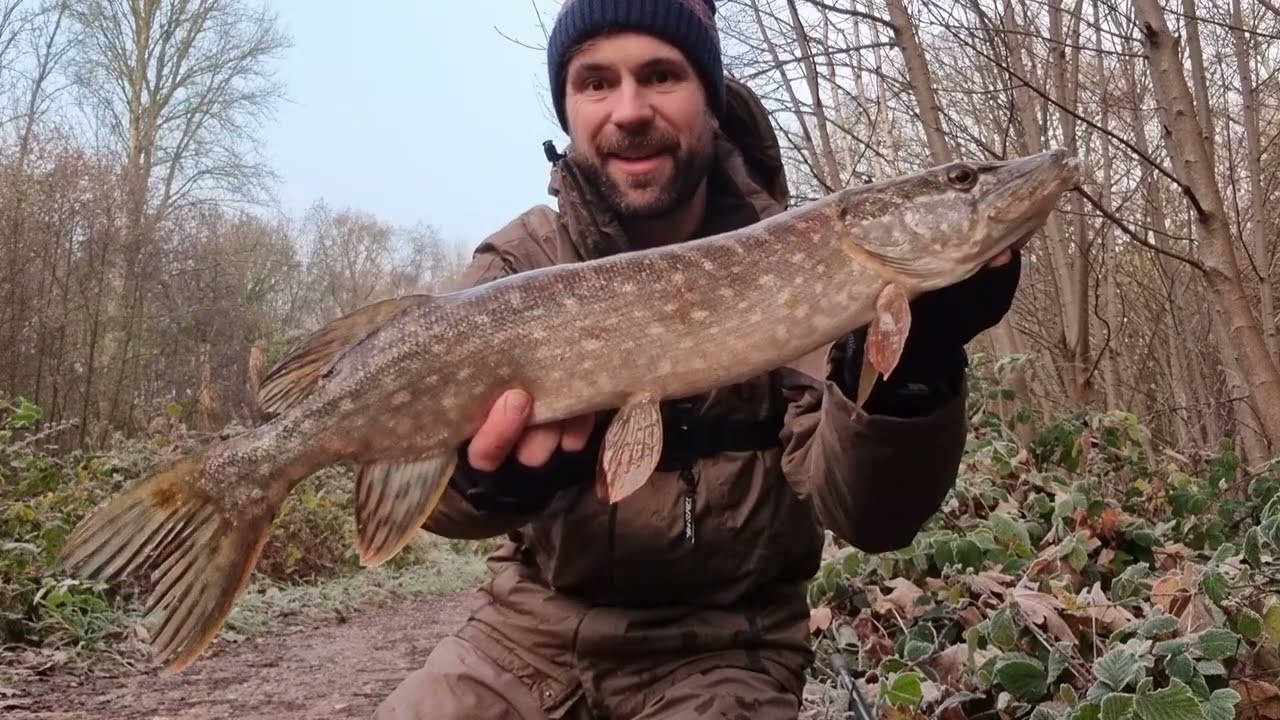Fly Fishing for Pike UK - canal session