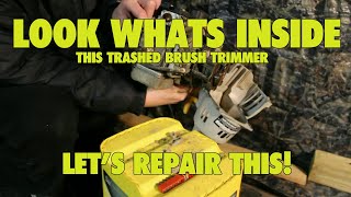 EP14:  Ryobi BC30 (30570) Weed Wacker and Brush Trimmer Repair, can we repair it?
