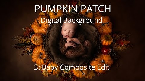 Pumpkin Patch Digital Background tutorial video 3