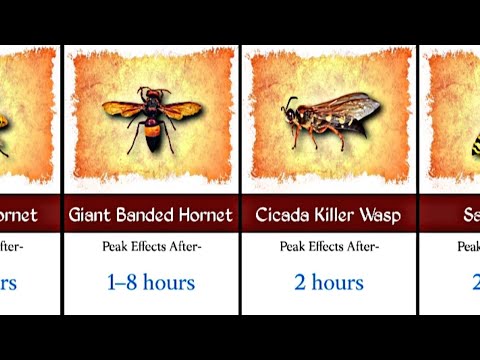 Top 50 Venomous Insects, Bugs & Worm-Like Creatures 🐜☠️ | Most Painful Stings & Bites Ranked!
