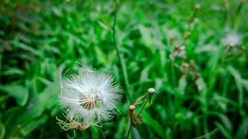 LEARN LIGHTROOM 5 - QUICKSTART