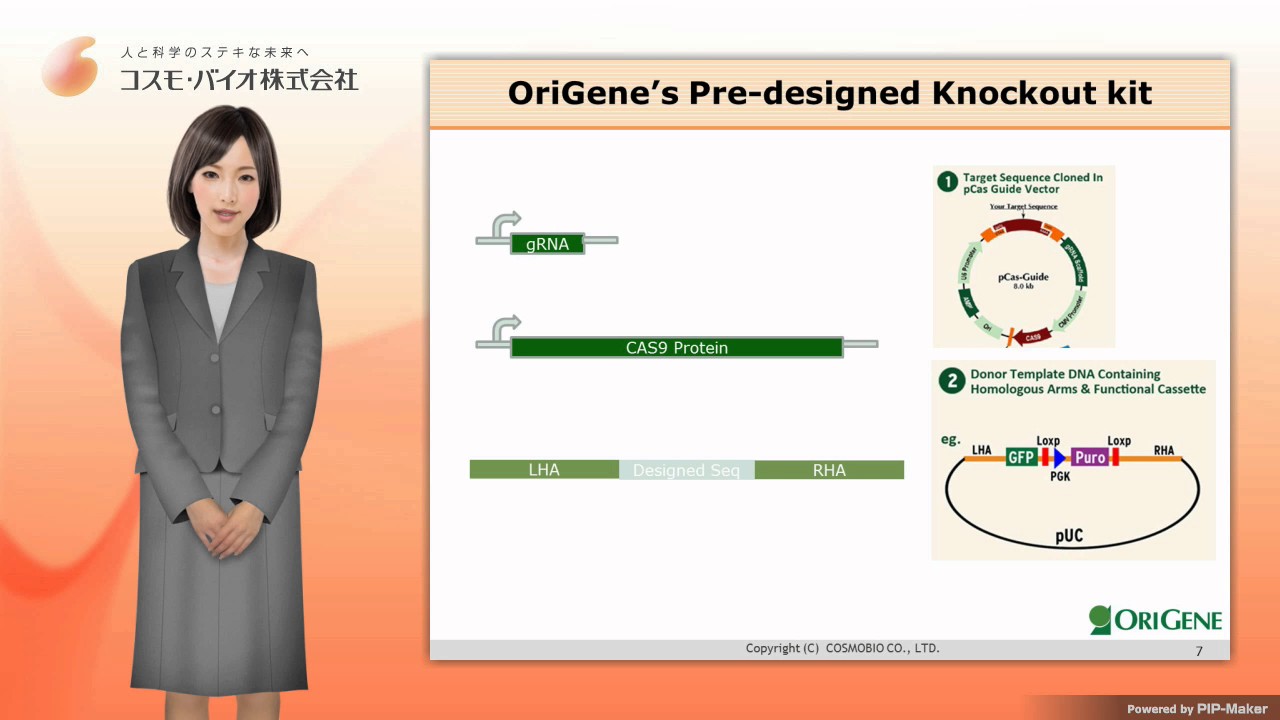 ORIGENE社 ゲノム編集（Genome-editing）ノックアウトキット - YouTube