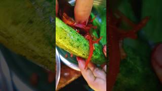 Korean Style Stuffed Cucumber   trending viral youtube subscribe teasty ytshorts 