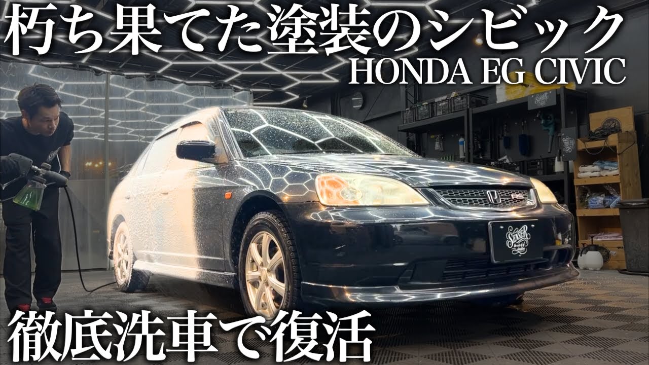 【緊急依頼】白いシミで艶が無くなった「ホンダ シビック」徹底洗車&ミドル研磨で甦らせる car detailing civic eg honda