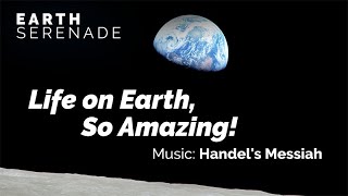 Life on Earth, So Amazing!