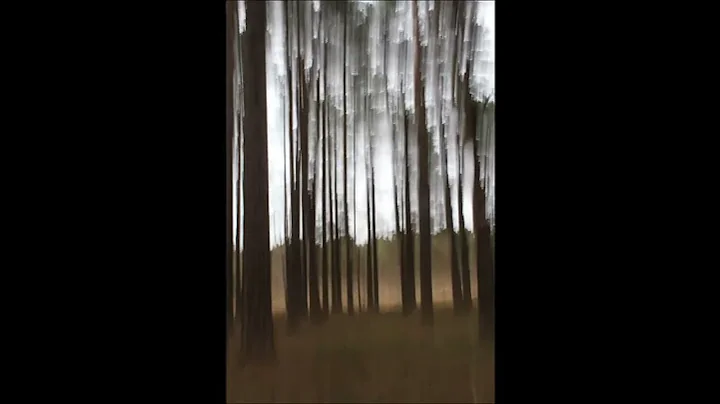 Motion Blur Time Lapse Final by Elaine de Vries