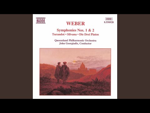 Symphony no. 2: II. Adagio ma non troppo