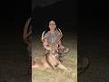 Deer season 2024 update [not done yet!] | N1 Outdoors #bowhunting #whitetail #hunting