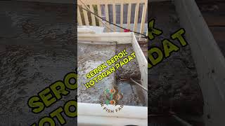 Sieve Filter Kolam System RAS