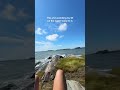 I&rsquo;m a little scared of the ocean but my bf is all about it