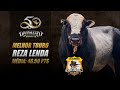 Reza Lenda (Red Bucking Bulls) - Melhor Touro de Divinópolis 2022