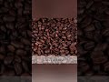 صبوا القهاوي للعريس الغالي 