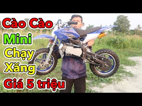 Lâm Vlog - Mua Xe Moto Cào Cào Mini 50cc Chạy Xăng Giá 5 triệu | Pocket Bike for Kids $200