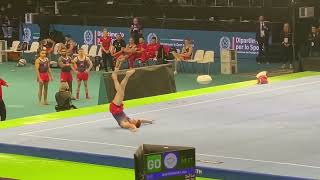 Luke Whitehouse Qualifies in 2nd for the Final at the European Gymnastic Championships - Rimini 2024