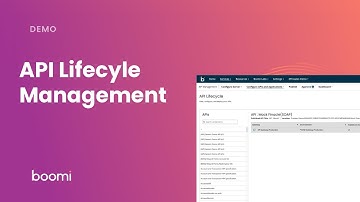 API Lifecycle
