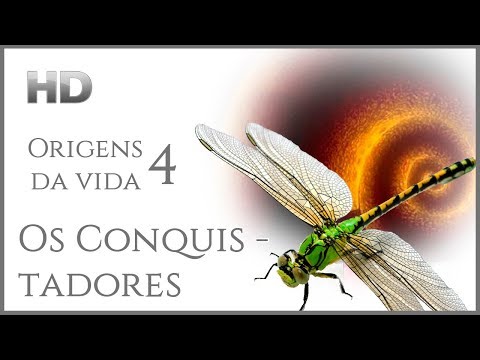 Vídeo: Quando os conquistadores começaram?