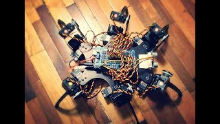 phoenix Hexapod