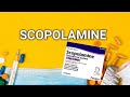 Cholinergic antagonist |Scopolamine |Autonomic nervous system |Animation