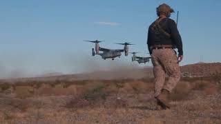Vertical Assault Raid with U.S. Marines of the 13th MEU | BLT 2/4