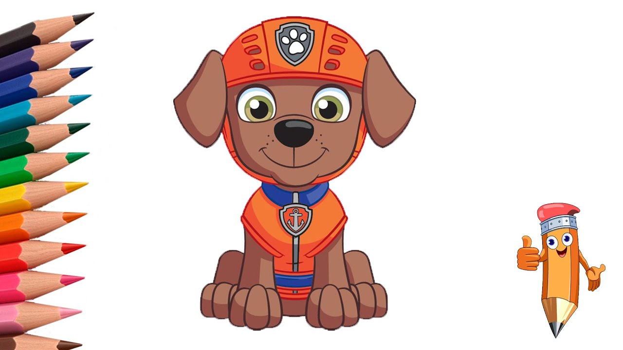 How to draw PAW Patrol Zuma easily step by step 