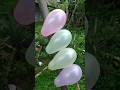 Meletus Balon, Balon Warna Warni #balon #balloon #meletusbalon #balonmeletus #balonmerah
