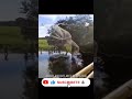 Una maseta de tarrayazo #pesca #tarraya #atarraya #pescador #venezuela #colombia #short #llaneros