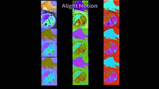 In 91-Dxi Nineparsion