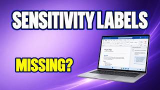 Microsoft 365 Sensitivity Labels Missing Check Account, Policy & Office Build