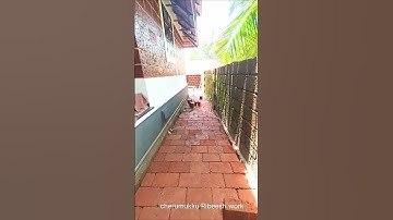 ചെങ്കല്ല് കൊണ്ട് ഇങ്ങനെയും ചെയ്യാമോ? 👍#youtube#sorts #homedesign#wall design# work#variety video