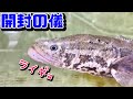 こんなものをたくさん購入しました！