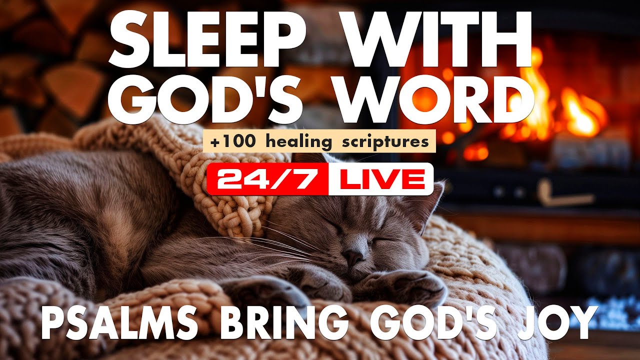 Peace grows when striving ends. Bible verses protection shape safe rest.