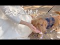リゾナーレ八ヶ岳で愛犬と一緒に結婚式をしました【ミニチュアダックスフンド】