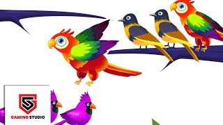 Color Bird Sort Puzzle | Gameplay Video | Gaming Studio screenshot 5