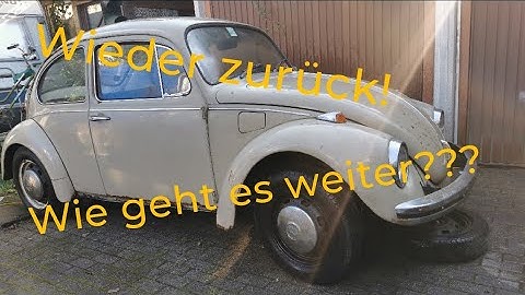 Neues Projekt VW Käfer von 1969 Ein echter Scheunenfund